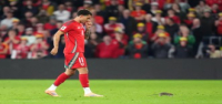 Una rata retrasa brevemente el partido de clasificación para el Mundial entre Gales y Bélgica