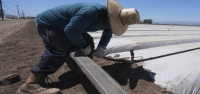 Las redadas de ICE y su incertidumbre ahuyentan a los trabajadores y desconciertan a las empresas