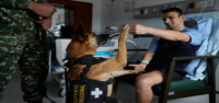 Soldados colombianos encuentran consuelo en perros de apoyo emocional de la 'fuerza peluda'