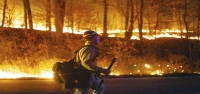 Nacen nuevos incendios en el noreste de EEUU, mientras arden grandes fuegos en el oeste