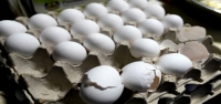 Precios de huevos en EEUU bajan por primera vez en meses, pero siguen cerca de máximos históricos